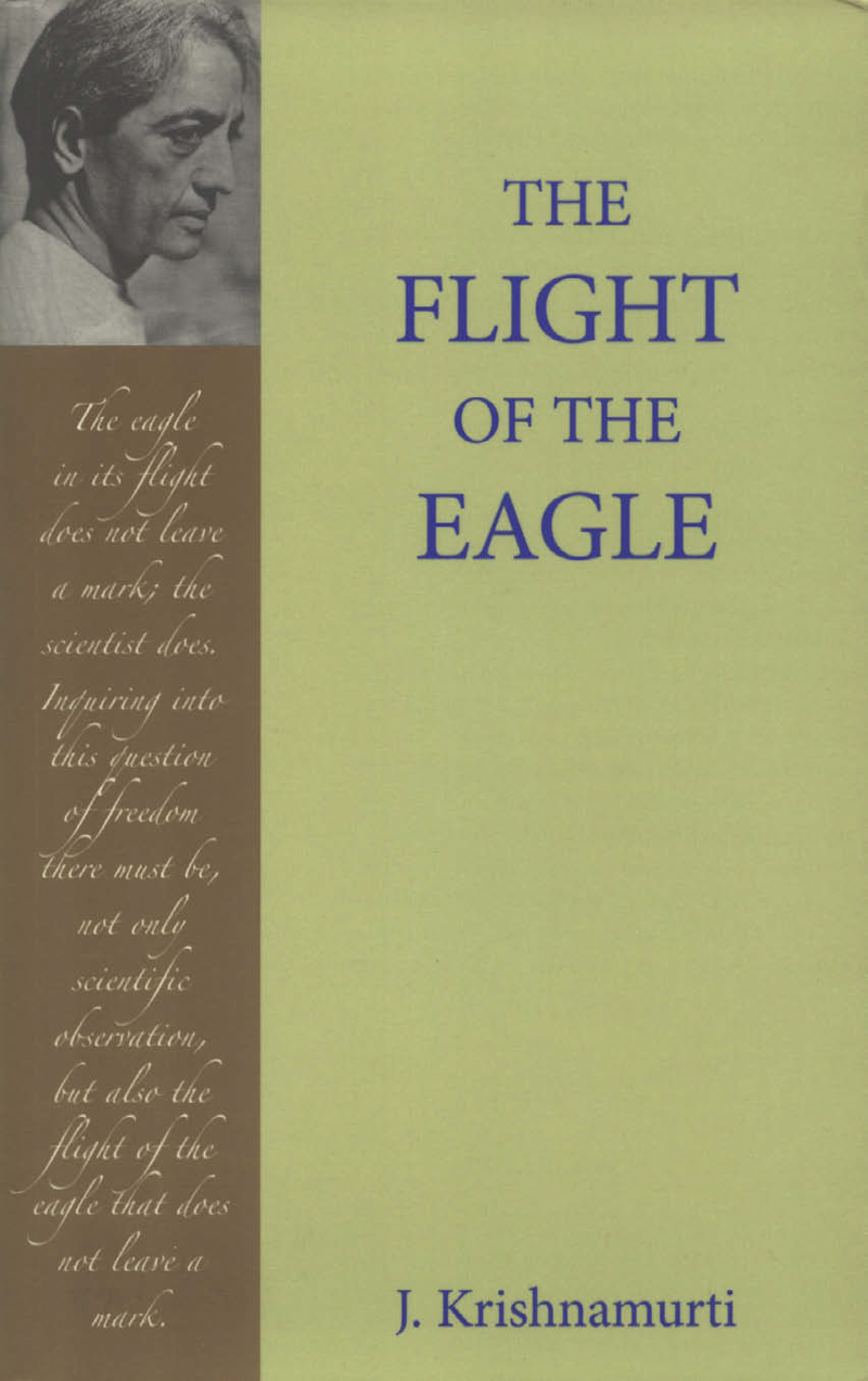 flight_eagle